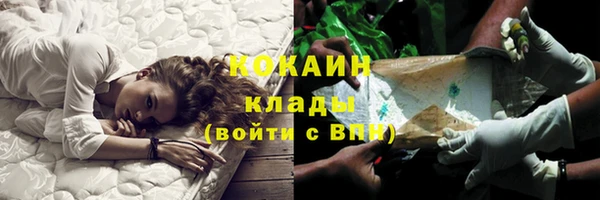 крисы Осинники