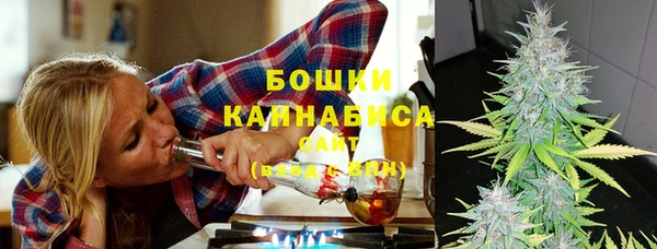дурь Пересвет