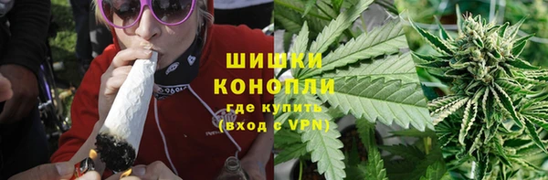 дурь Пересвет