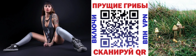 цены   площадка телеграм  Галлюциногенные грибы Magic Shrooms  Куса 