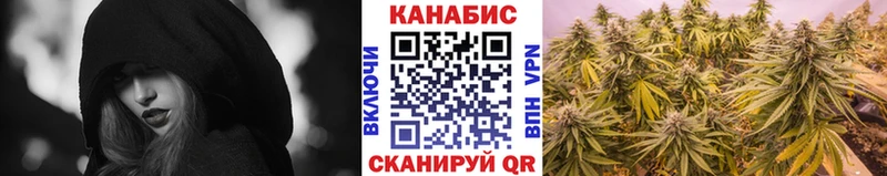 Канабис планчик  где можно купить наркотик  Куса 